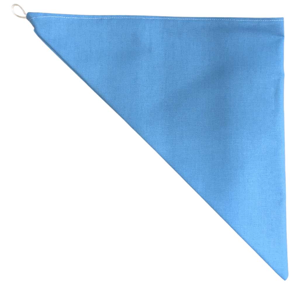 Rosie & Coco Scarf Blue