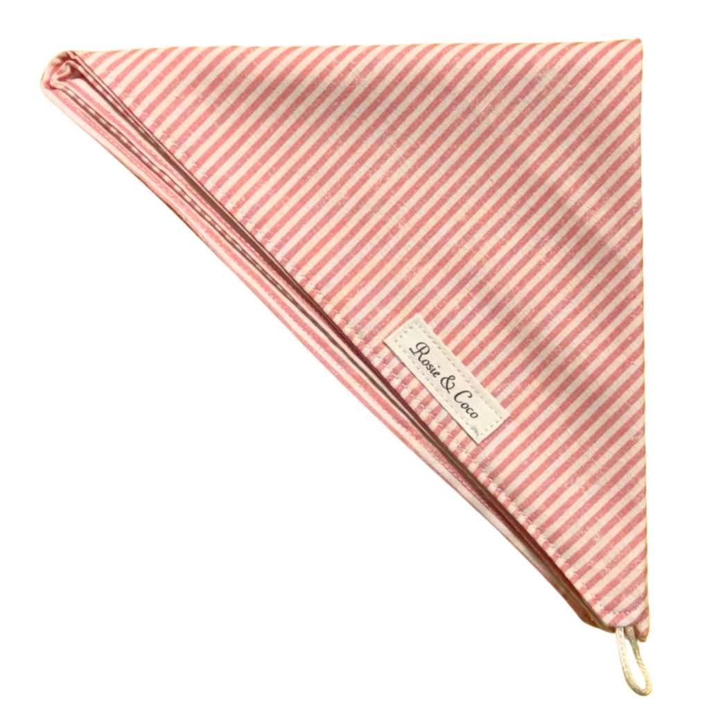 Rosie & Coco Scarf Melon White Stripe