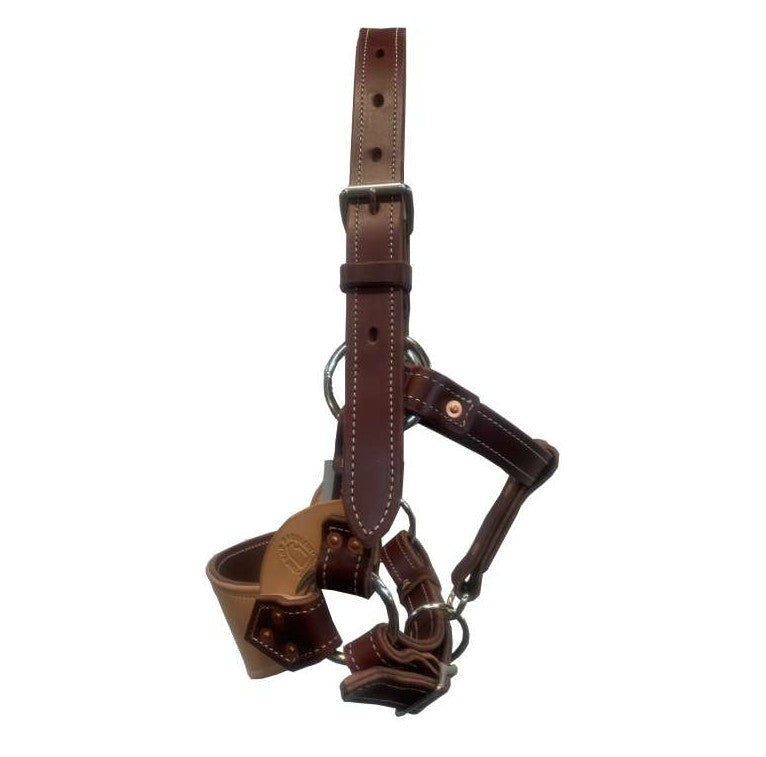 Red Cheetah Cob Size Bronc Halter – Twisted T Tack